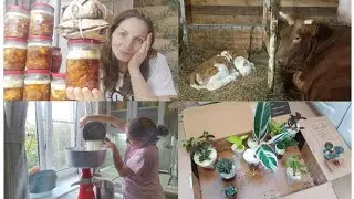 МАМА БЕЗ ТОРМОЗОВ и ПОПОЛНЕНИЕ В ХОЗЯЙСТВЕ!!!
