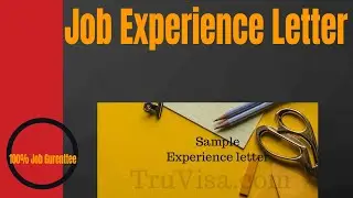 Built Job Experience Letter In MS-Word. 100% Working