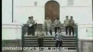 Grupo nectar - El arbolito -www.perucumbia.com.pe