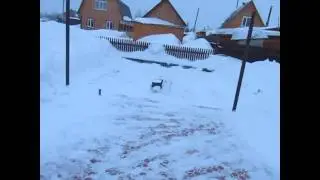 Строю баню, клип 1