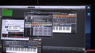 Pitbull Audio First Look - Roland Cloud TR-808 | Synthplex 2019