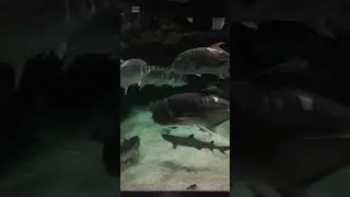 25 ноября 2021 г.