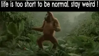 j4j
