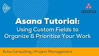 Asana Tutorial | Using Custom Fields to Organize & Prioritize Your Work