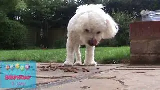 4th birthday