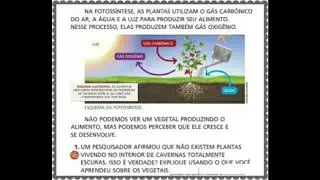 Ciências/2° ano- Como as plantas respiram e se alimentam?