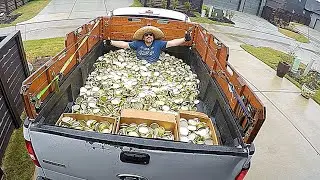 Dumpster Diving 