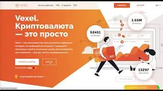Регистрация кошелька и верификация аккаунта в Вексель. VEXEL