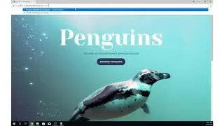 How to log into cpanel