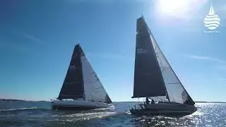 Shogun 43