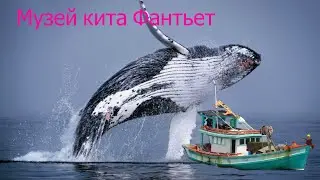 Фантьет. Вьетнам. Экскурсия ч.1. Музей кита.