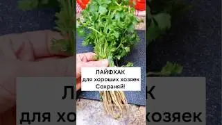 Лайфхаки на кухне. Сохрани и отправь другу 👌 