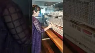 Norwegian Bliss October 6th