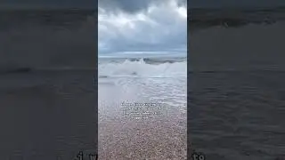 I FELL IN THE SEA 😭 