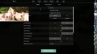 a2guapo video settings valorant
