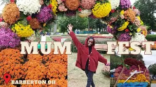 Day in my Life Vlog/Mum's Festival 2021 