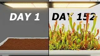 Simulating the Sun For 152 Days