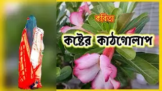 কষ্টের কাঠগোলাপ | Kostar kathgolap | kobita Recitation by Monjurul islam