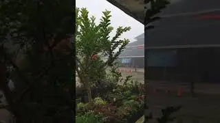 Suasana Pagi Yang Sejuk Di desa