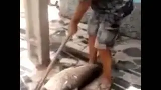 Cara Unik Dan Cepat Menyiang Sisik Ikan Hasil Pancing Dengan Cangkul Besar