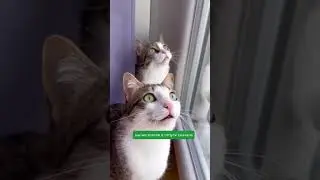 Каждому клиенту ваучер на 2 персоны в подарок 