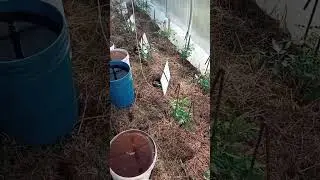 Не надо как все, будь лучшим!!! Сад и Огород. Дачный Быт.