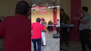 ELEGANTE DEL PERÚ MIX HUAYNOS ANCASHINOS