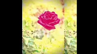 Lambchop - Trip (Full Album) 2020