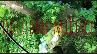 Odludne miejsce