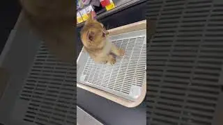 Катается :3