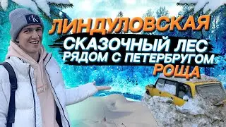 Линдуловская роща: Скользим по дорогам,утопаем в сугробах