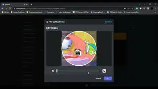 Managing User Profile in Discord