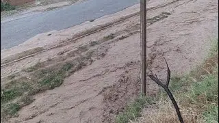 Аллохнинг кудратини куринг дустлар☝️☝️