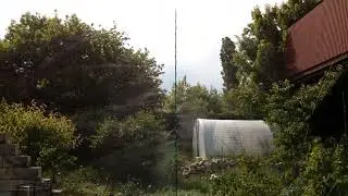 поливальная ель