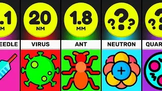 Comparison: The TINIEST Things In The Universe