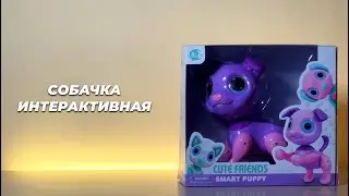 Собачка интерактивная. Игрушечный щенок. Интерактивный щенок, реагирует на прикосновения, танцует