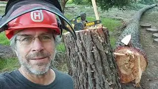 Is it sketchy to drop a heavy leaner tree with a weight on a rope?
