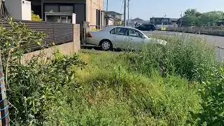Planting vegetables flowers
