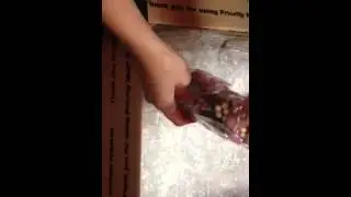 Gifts From My Linda (Faythchick777)