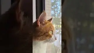 Лето.
