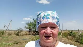 4 июля 2024 г.