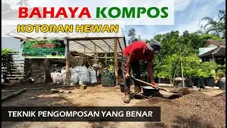 Bahaya Pupuk Kompos Kotoran Hewan Jika Tidak Diolah Dengan Benar