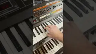 Should I drop a cover version of Axel F this week? 🤔#beverlyhillscop #synthesizer