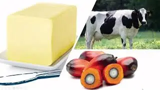 Let's Learn Food Science - Food Science News - Buttergate