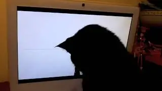 ABK Gets Startled