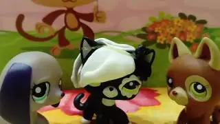 Аделия J Si Cat's broadcast