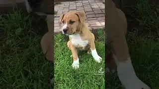 Серьезный парень все ещё не нашёл мам-пап, вы где, ау! 😁