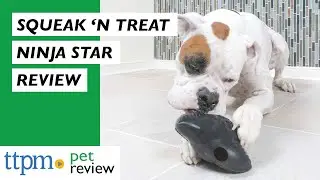 Squeak 'n Treat Ninja Star from PetSafe
