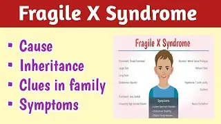 Fragile X Syndrome Symptoms, Causes & Inheritance