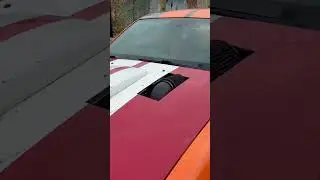 Ford Mustang pro charger vs Ford Mustang saleen #mustang